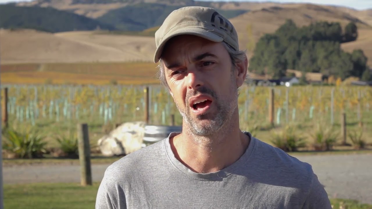 The Vineyard Ferment Story