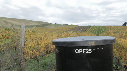 Greystone Wines Releases First-ever Vineyard Ferment Pinot Noir
