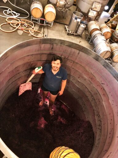 From pouring wine to making it: Sam’s journey to Greystone