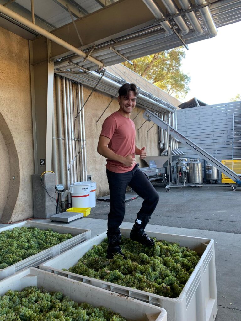 Male Vintage Staff foot crushing grapes
